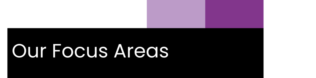 Our Focus Areas