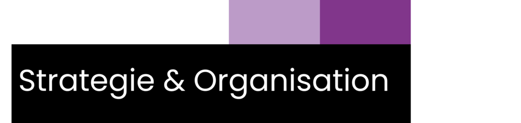 Strategie & Organisation